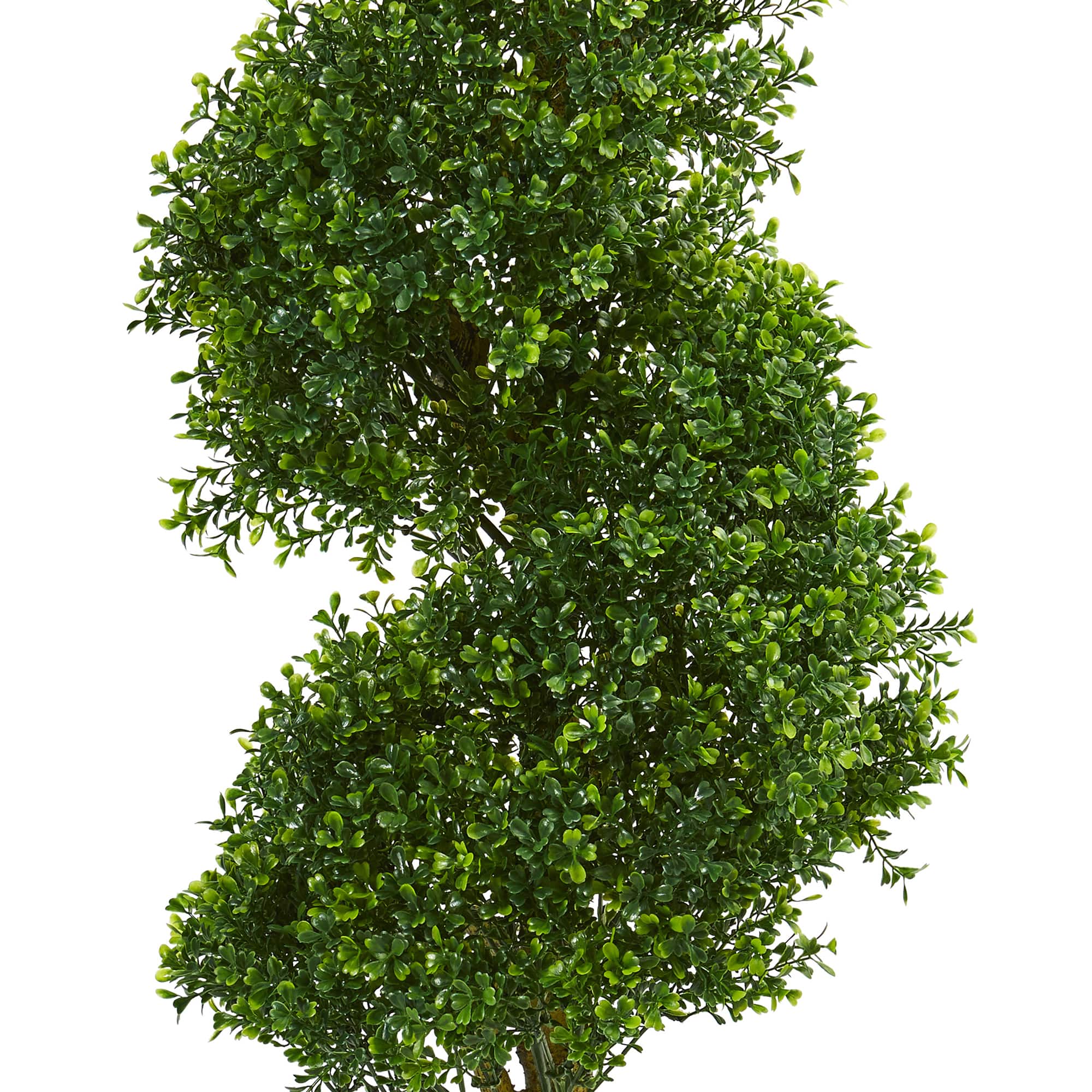 4ft. Potted Spiral Boxwood Tree